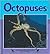 Octopuses by Ron Hirschi