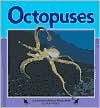 Octopuses (Nature Watch)