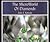 MicroWorld of Diamonds:A Visual Reference