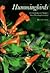 Hummingbirds: A Celebration...