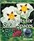 The Horticulture Gardener's Guides: Plants For Small Spaces