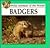 Badgers (Wild Animals of the Woods)