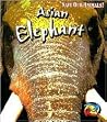 Asian Elephant (Save Our Animals!) Asian Elephant (Save Our Animals!)