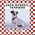 Jack Russell Terriers