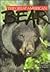 The Great American Bear