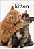 Complete Guide to the Kitten