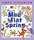 Mud Flat Spring