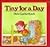 Tiny for a Day