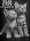 Ylla's Cats