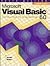 Microsoft Visual Basic 6.0:...