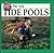 Tide Pools: The Sea (Sea Di...
