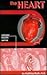 The Heart (Cellular Health ...
