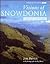 Visions of Snowdonia