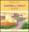 Canyon De Chelly: 100 Years of Painting and Photography (Places of Spirit Series)
