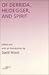 Of Derrida Heidegger and Spirit by David    Wood