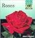 Roses (Flowers)