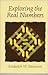Exploring the Real Numbers