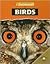 Birds (World Almanac Library of the Animal Kingdom)