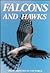Falcons and Hawks (Great Creatures of the World)