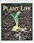 Plant Life (Straightforward Science)