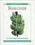 Bananas (Wonder Books Level 1 Fruits)