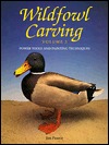Wildfowl Carving: Power Tools and Painting Techniques (Paperback)