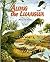 Along the Luangwa: A Story of an African Floodplain