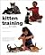 Kitten Training for Kids
