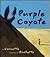 Purple Coyote