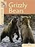 Grizzly Bears