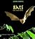 Bats and Their Homes