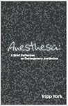 Anesthesia: A Brief Reflection on Contemporary Aesthetics