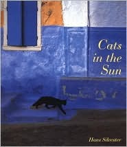 Cats in the Sun (Paperback)