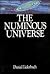 The Numinous Universe by Daniel Liderbach
