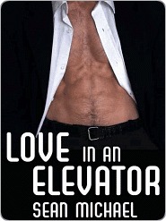 Love in an Elevator (Nook)