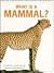 What Is a Mammal?