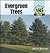 Evergreen Trees (Checkerboard Science and Nature Library)
