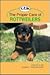 The Proper Care of Rottweilers