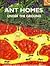 Ant Homes Under the Ground