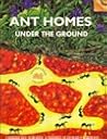 Ant Homes Under the Ground