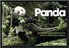 Panda: An Intimat...
