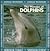 The Wonder of Dolphins