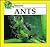 Ants (The Insect Discovery Library)