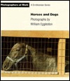 Horses and Dogs (Photographers at Work)