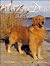 In Praise of Dogs: A Photo ...