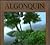 Algonquin by Roderick MacKay