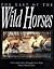 The Last of the Wild Horses
