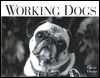 Working Dogs (Hardcover)