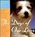 The Dogs of Our Lives: Heartwarming Reminiscences of Canine Companions