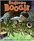 Bugtown Boogie